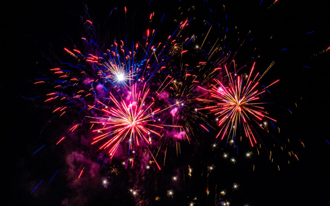 Cachorros X Fogos de Artifícios