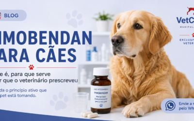 Pimobendan para cães | o que é, para que serve e por que o veterinário prescreveu