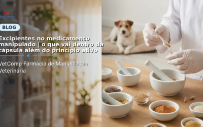 Excipientes no medicamento manipulado | o que vai dentro da cápsula além do princípio ativo
